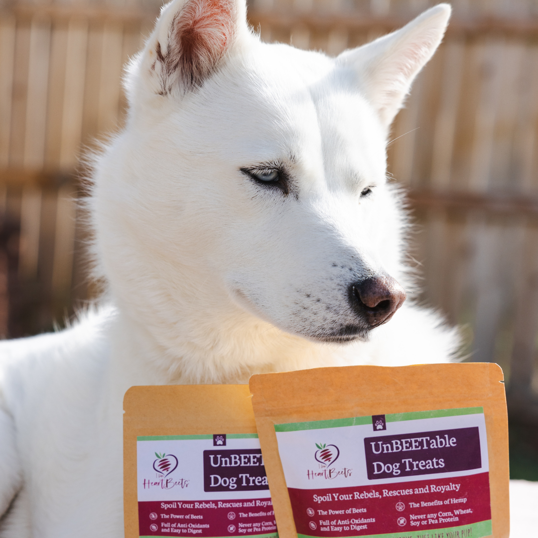 UnBEETable Dog Treats for Shipping